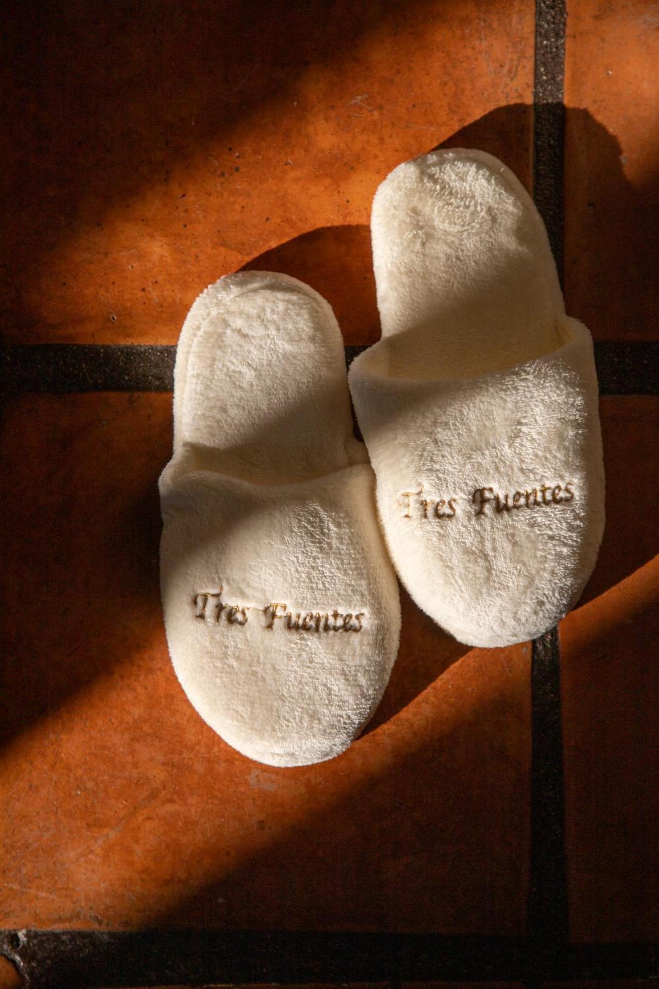 Tres Fuentes Hotel Boutique ซานมิเกล เด อาเญนเด ภายนอก รูปภาพ